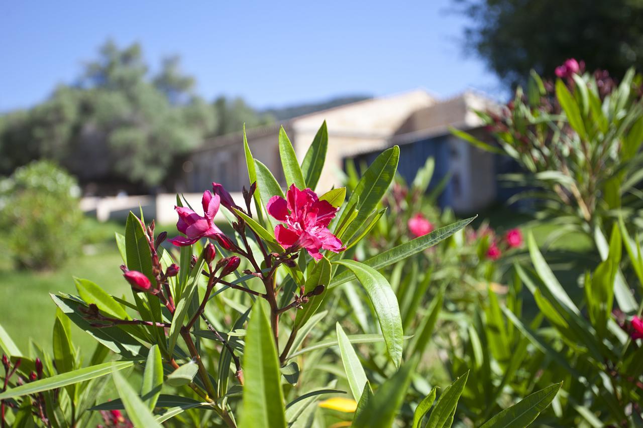 Agroturismo Finca Dalt Murada Binissalem Exterior foto